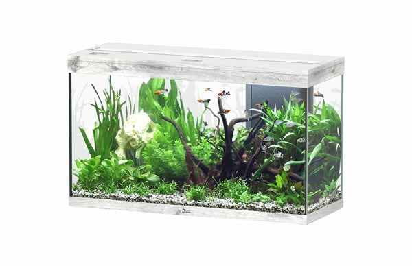 AQUATLANTIS AQUARIUM SPLENDID 80 ULTRA BIOBOX BETON-059