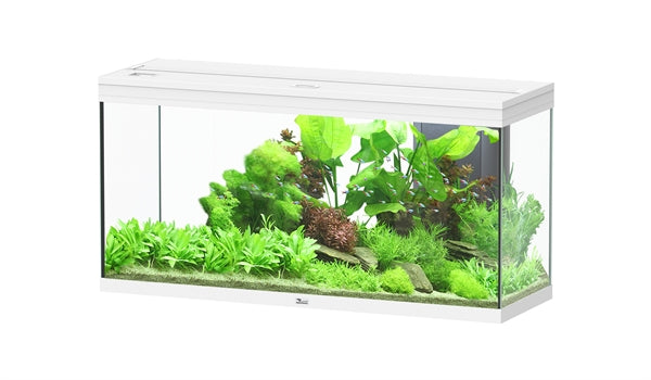 AQUATLANTIS AQUARIUM SPLENDID 120X40 ULTRA BIOBOX WIT-025