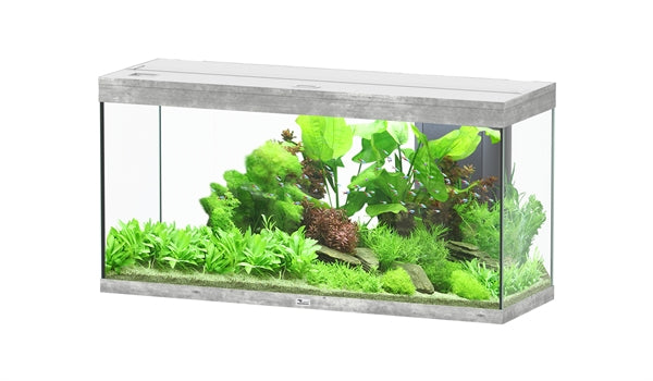AQUATLANTIS AQUARIUM SPLENDID 120X40 ULTRA BIOBOX BETON-059