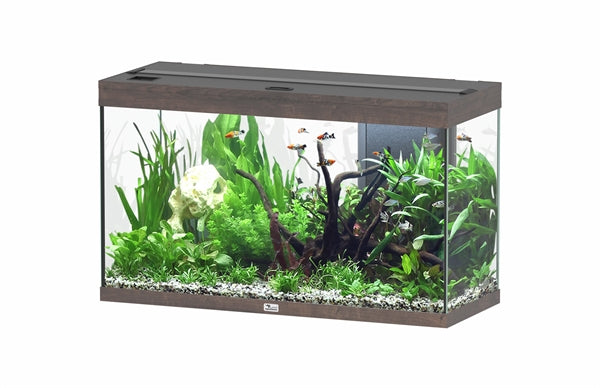 AQUATLANTIS AQUARIUM SPLENDID 80 ULTRA BIOBOX DONKERBRUIN-096