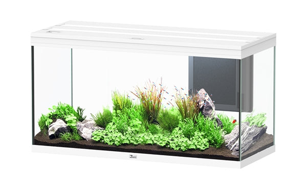 AQUATLANTIS AQUARIUM SPLENDID 150X40 ULTRA BIOBOX WIT-025