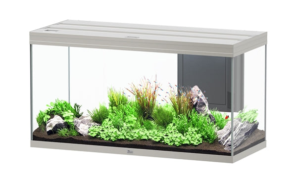 AQUATLANTIS AQUARIUM SPLENDID 120X50 ULTRA BIOBOX STAAL-065