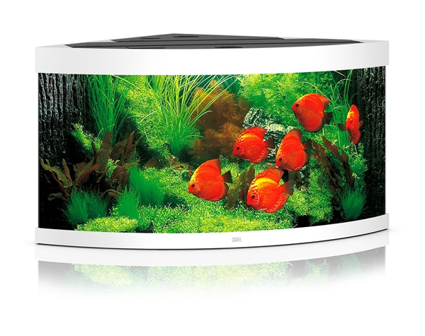 JUWEL AQUARIUM TRIGON 350 WIT LED