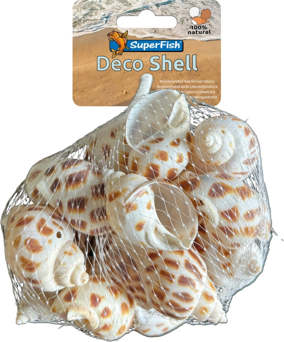 SF DECO SCHELP SPIRAAL GESTREEPT 200 GRAM