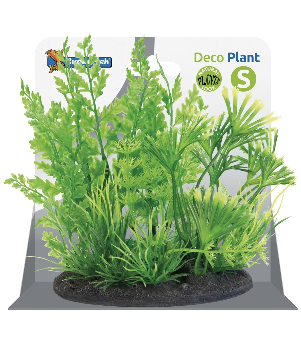 SF DECO PLANT S NR 1