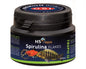 HS AQUA SPIRULINA FLAKES 100 ML