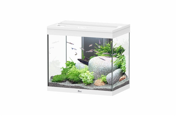 AQUATLANTIS AQUARIUM SPLENDID 60 BIOBOX WIT-025