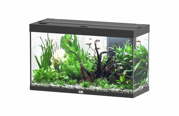 AQUATLANTIS AQUARIUM SPLENDID 80 ULTRA BIOBOX ZWART-001