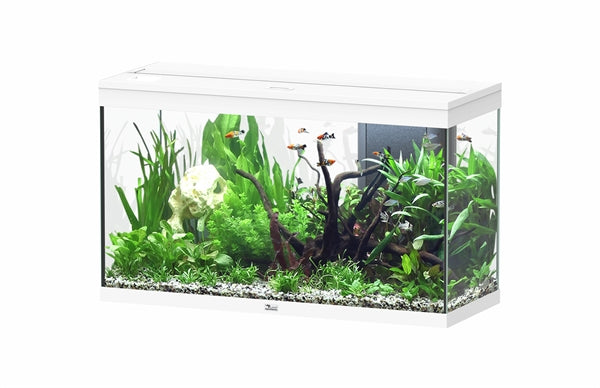 AQUATLANTIS AQUARIUM SPLENDID 80 ULTRA BIOBOX WIT-025