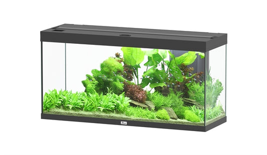 AQUATLANTIS AQUARIUM SPLENDID 120X40 ULTRA BIOBOX ZWART -001