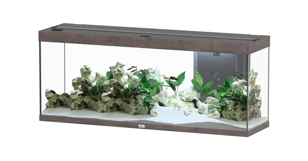 AQUATLANTIS AQUARIUM SPLENDID 120X40 ULTRA BIOBOX DONKERBRUIN-096