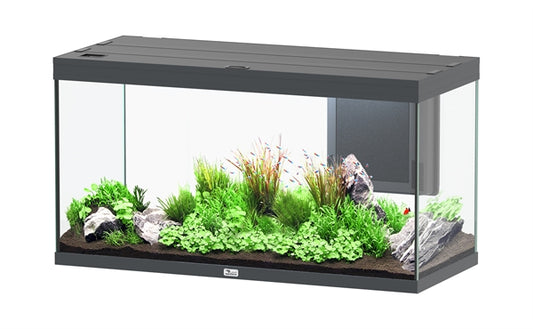 AQUATLANTIS AQUARIUM SPLENDID 120X50 ULTRA BIOBOX ANTHRACIET-097