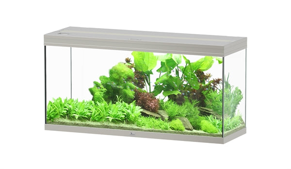 AQUATLANTIS AQUARIUM SPLENDID 120X40 ULTRA BIOBOX STAAL-065