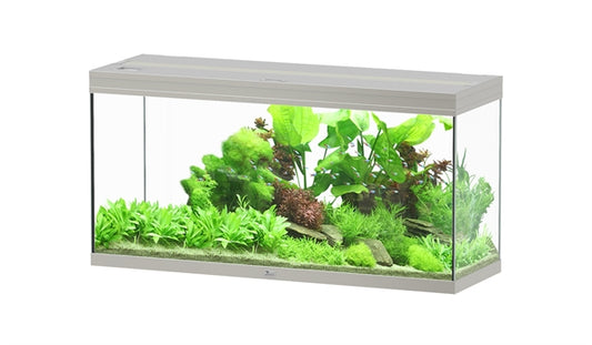 AQUATLANTIS AQUARIUM SPLENDID 120X40 ULTRA BIOBOX STAAL-065