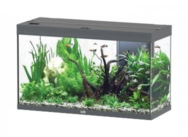 AQUATLANTIS AQUARIUM SPLENDID 100 ULTRA BIOBOX ANTHRACIET-097