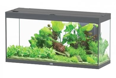 AQUATLANTIS AQUARIUM SPLENDID 120X40 ULTRA BIOBOX ANTHRACIET-097