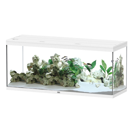 AQUATLANTIS AQUARIUM SPLENDID 150X50 ULTRA BIOBOX WIT-025