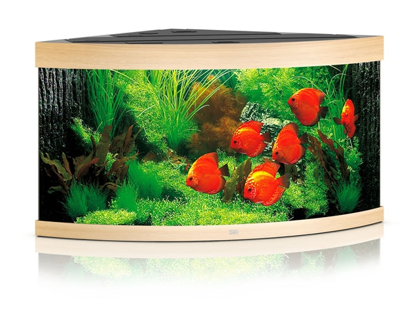 JUWEL AQUARIUM TRIGON 350 LICHT NOTEN LED
