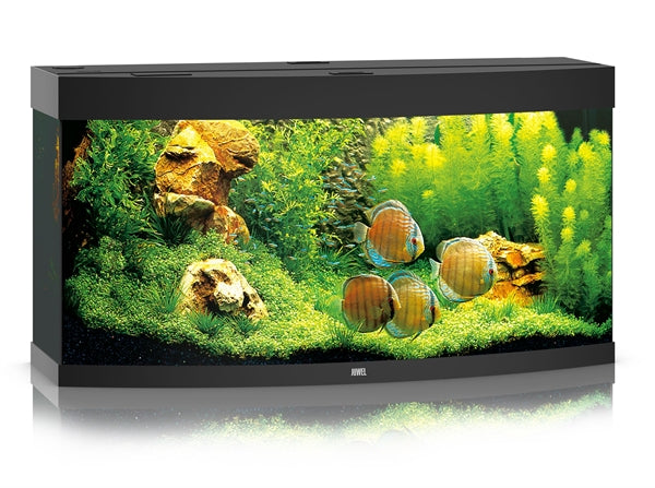 JUWEL AQUARIUM VISION 260 ZWART LED