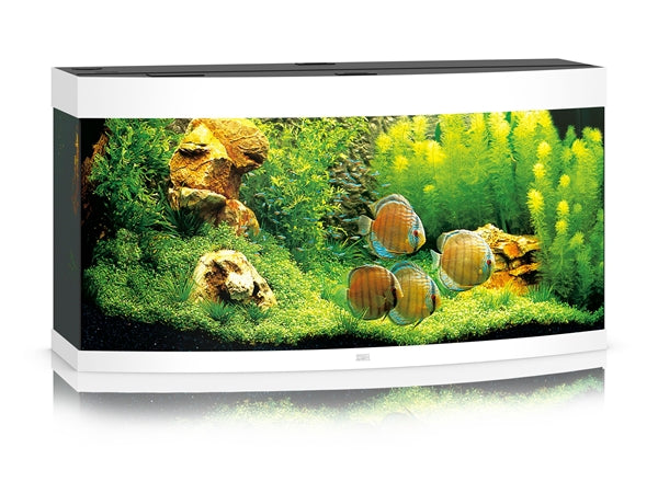 JUWEL AQUARIUM VISION 260 WIT LED