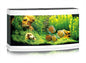 JUWEL AQUARIUM VISION 260 WIT LED