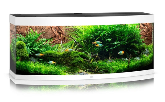 JUWEL AQUARIUM VISION 450 WIT LED