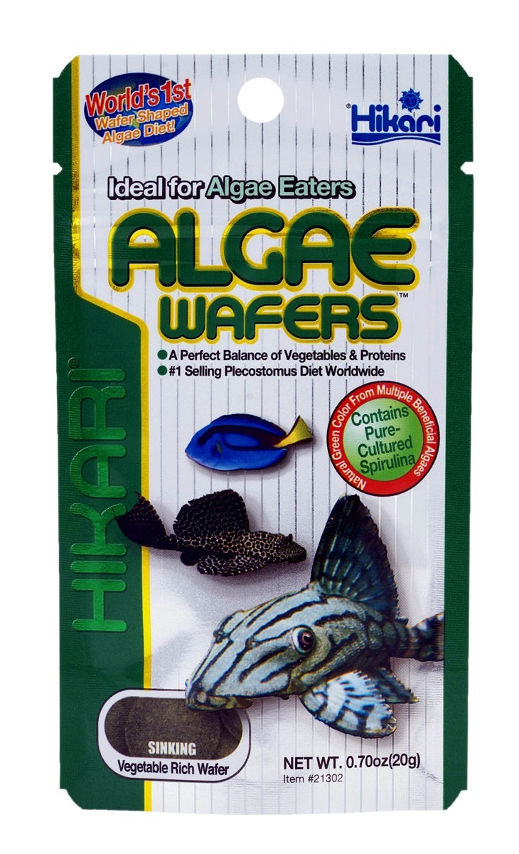 Hikari algae wafers, 20 gr