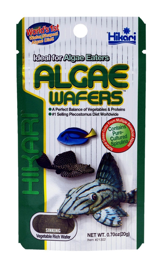 Hikari algae wafers, 20 gr