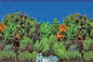 SF DECO POSTER B4 120X49 CM