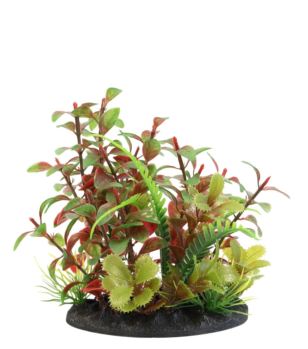 SF DECO PLANT S NR 2