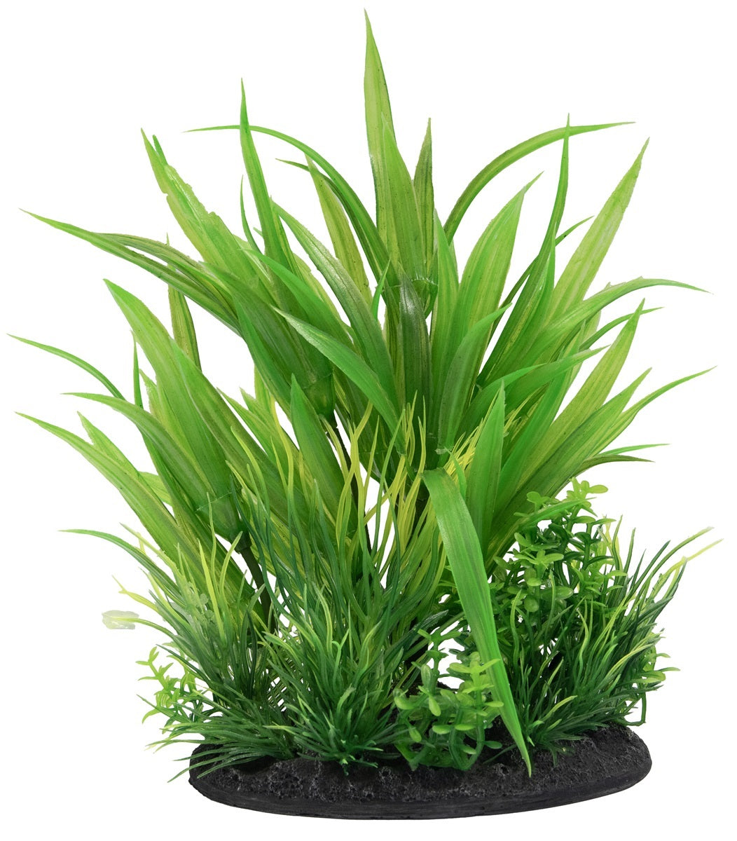 SF DECO PLANT S NR 6
