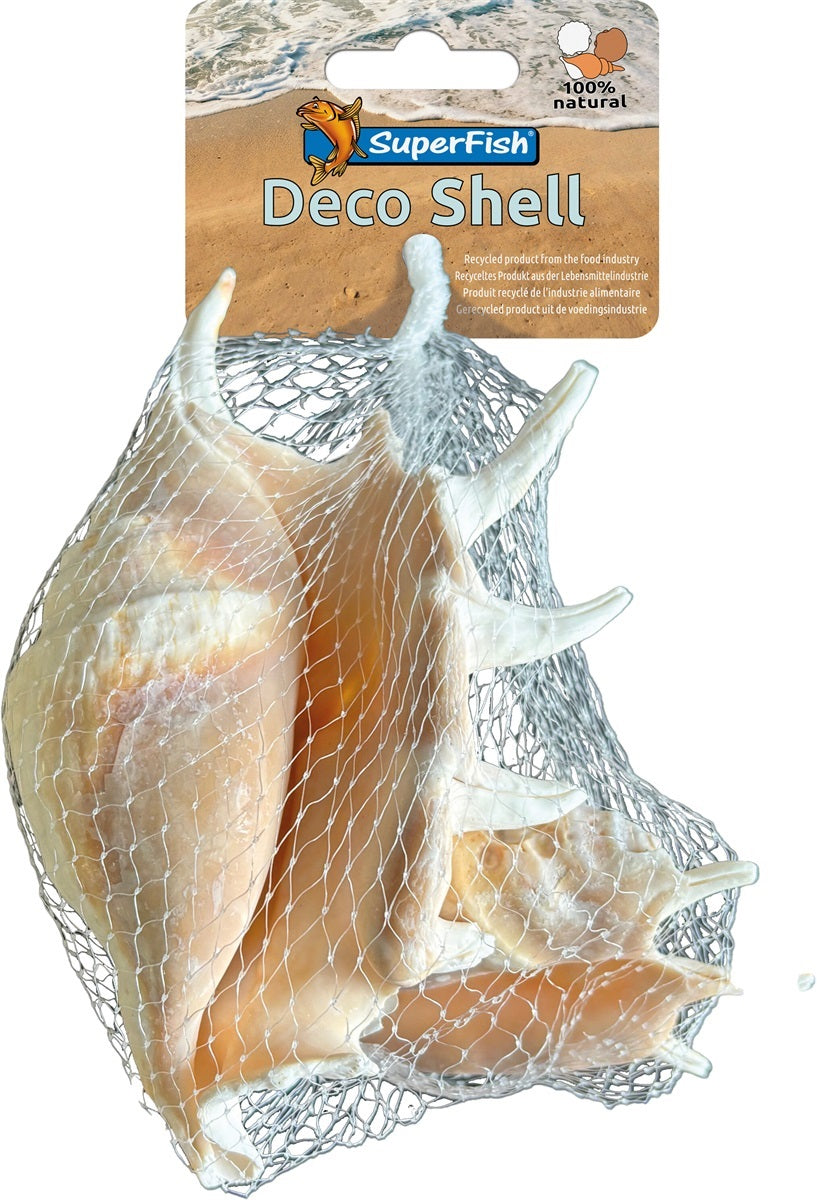 SF DECO SCHELP SPIDER 150 GRAM