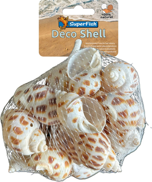 SF DECO SCHELP SPIRAAL GESTREEPT 200 GRAM