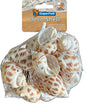 SF DECO SCHELP SPIRAAL GESTREEPT 200 GRAM