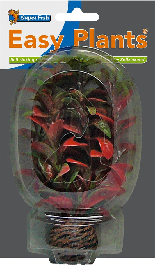 SF EASY PLANT LAAG 13 CM NR 7