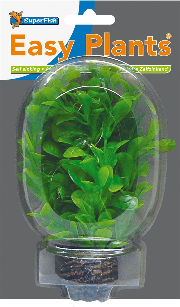 SF EASY PLANT LAAG 13 CM NR 8
