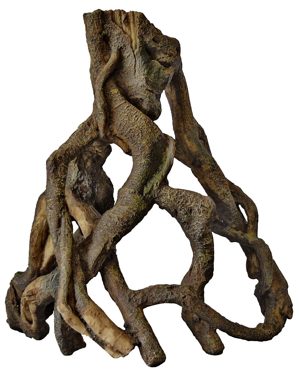 SF MANGROVE WORTEL L