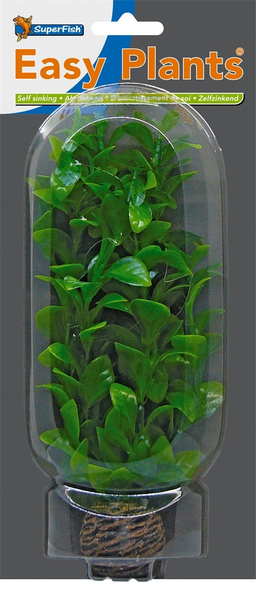 SF EASY PLANT MIDDEL 20 CM NR 2