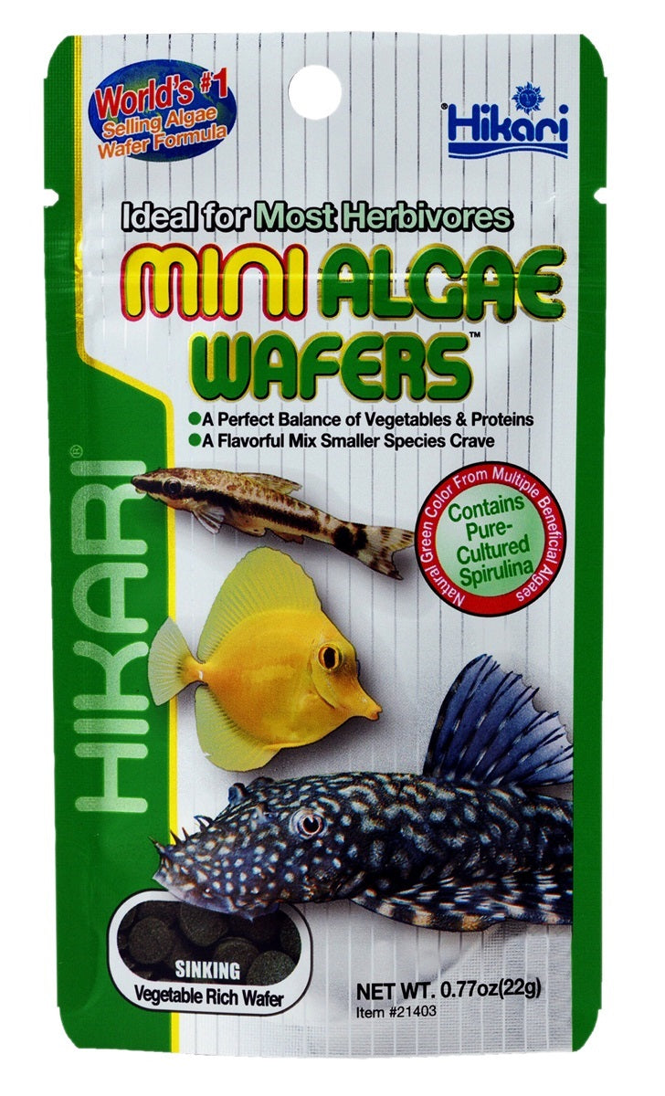 Hikari mini algae wafer 22 gr