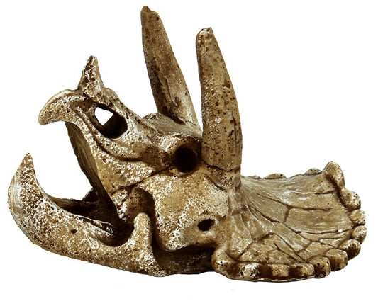 SF SKULL TRICERATOPS M