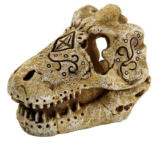 SF SKULL T REX S