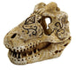 SF SKULL T REX S