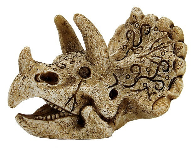 SF SKULL TRICERATOPS S